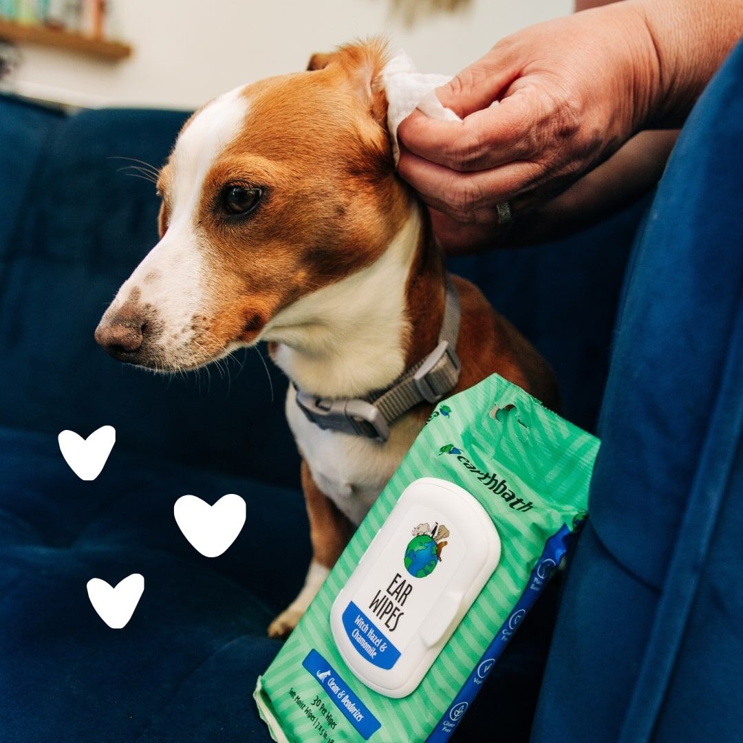 Earthbath Ear Wipes With Witch Hazel & Chamomile, 30-Ct