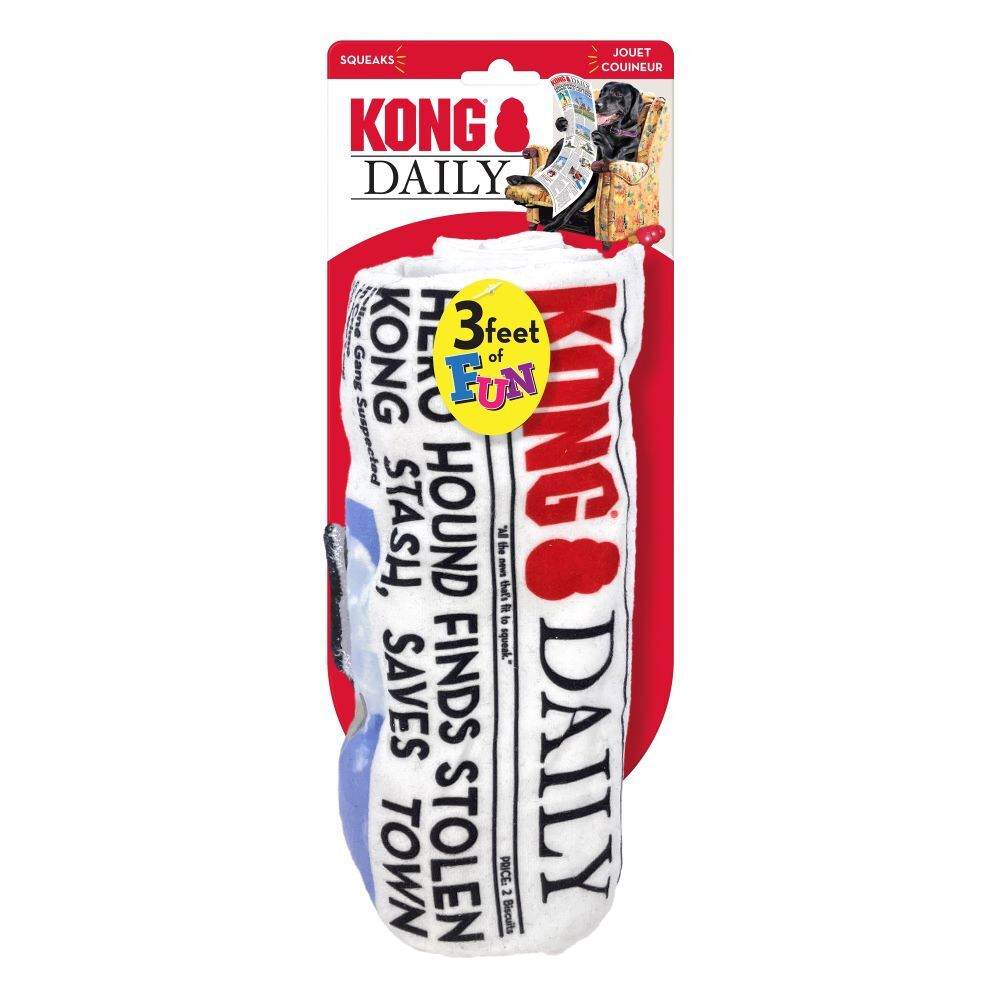 KONG Daily Dog Toy