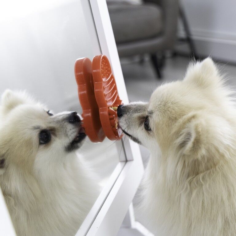 KONG Licks Small Treat Dispenser
