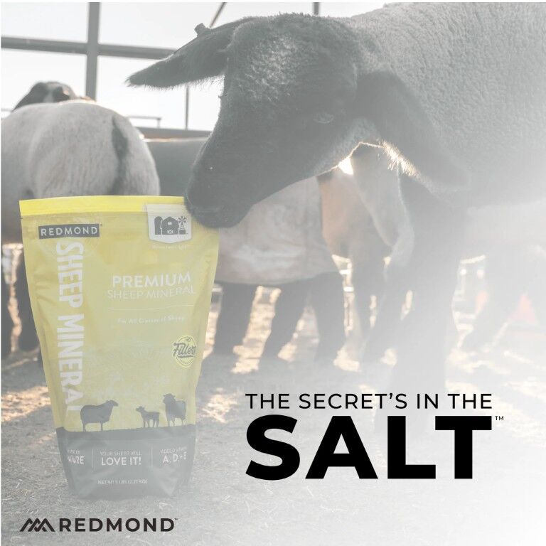 Redmond Sheep Mineral, 5-Lb