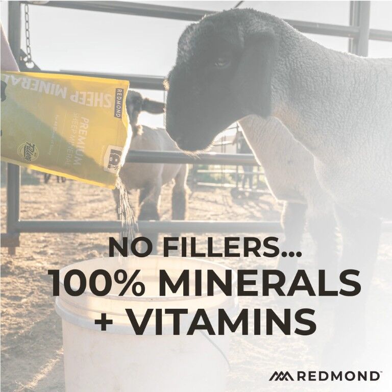 Redmond Sheep Mineral, 5-Lb