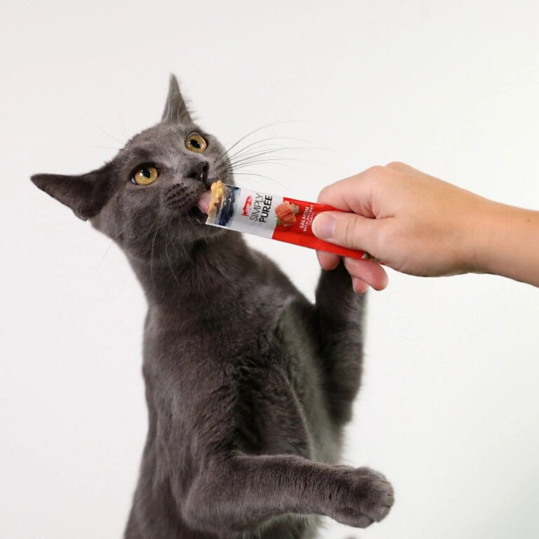 Wild Eats Simply Puree Salmon Cat Treat, 2-Oz