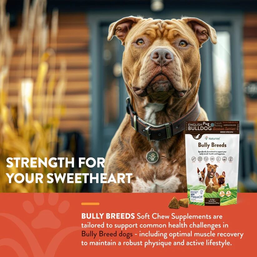 NaturVet Breed Specific Bully Breed Dogs Soft Chews, 50-Ct