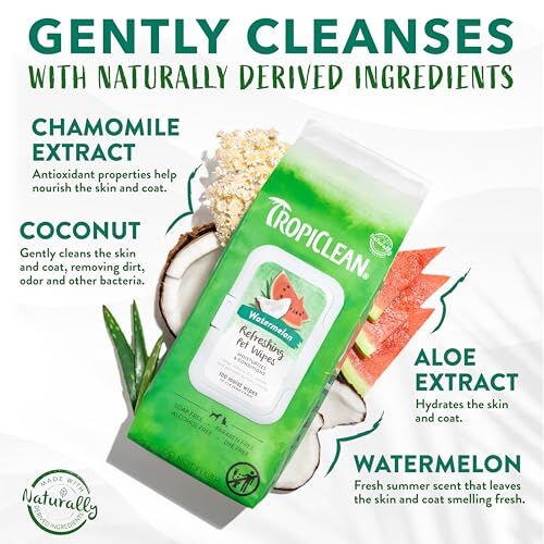 TropiClean Watermelon 2-in-1 Wipes, 100-Ct