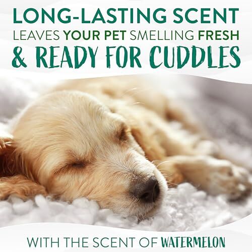 TropiClean Watermelon 2-in-1 Wipes, 100-Ct