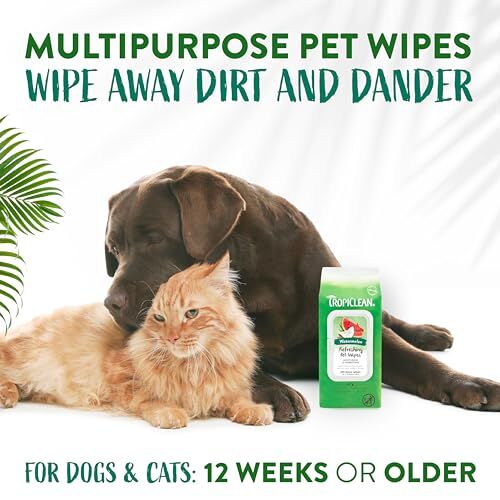 TropiClean Watermelon 2-in-1 Wipes, 100-Ct