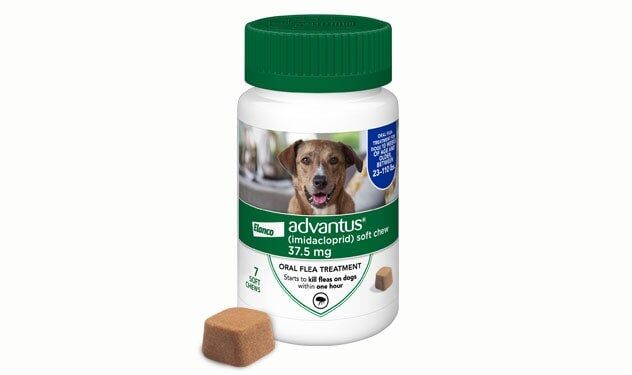 Elanco Advantus Imidacloprid Soft Chew 4-Lb To 22-Lb Dog Flea Treatment, 7-Ct