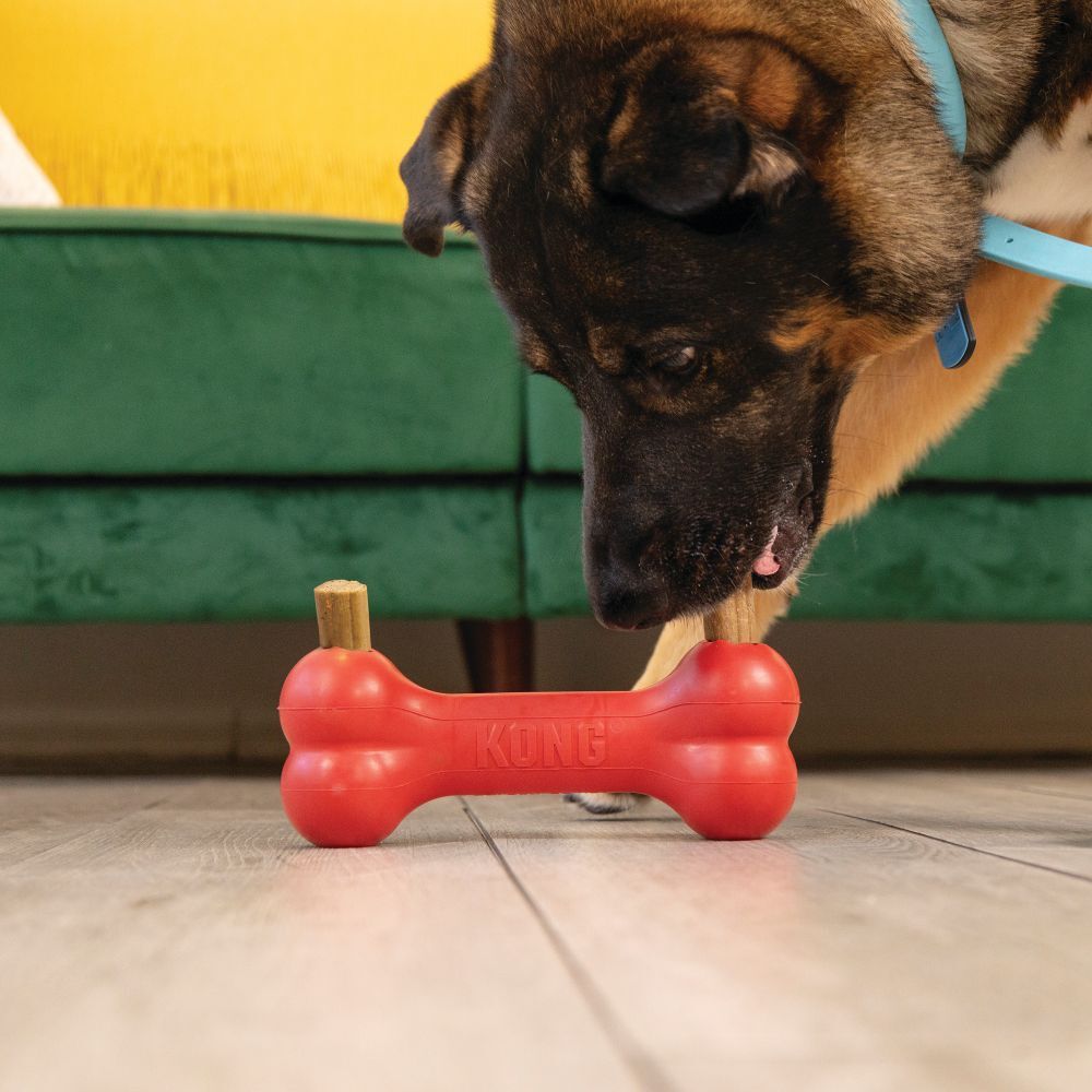 KONG Medium/Large Ziggies Enhanced, 8-Oz