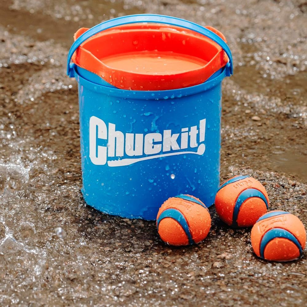 Chuckit! Ultra Balls Dog Toy with Bucket, 8-Pk