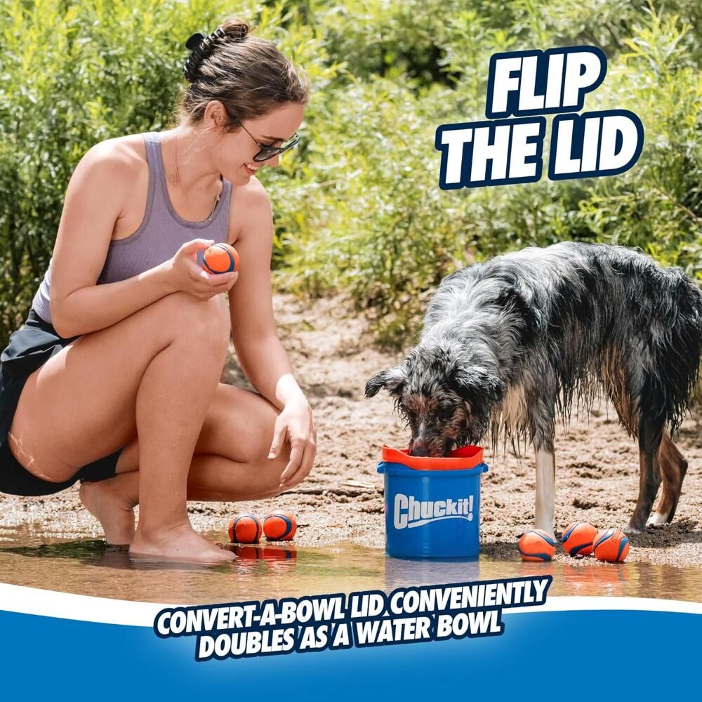 Chuckit! Ultra Balls Dog Toy with Bucket, 8-Pk