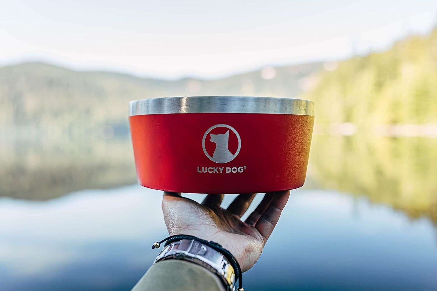 Lucky Dog Indulge 5 Black Double Wall Stainless Steel Dog Bowl, 40-Oz