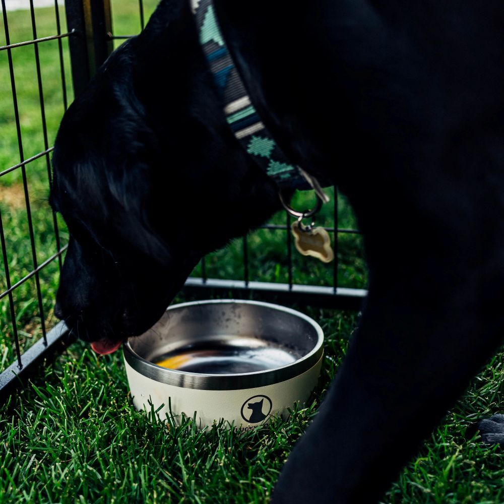Lucky Dog INDULGE 5 Double Wall Stainless Steel Tahitian Sand Dog Bowl, 40-Oz