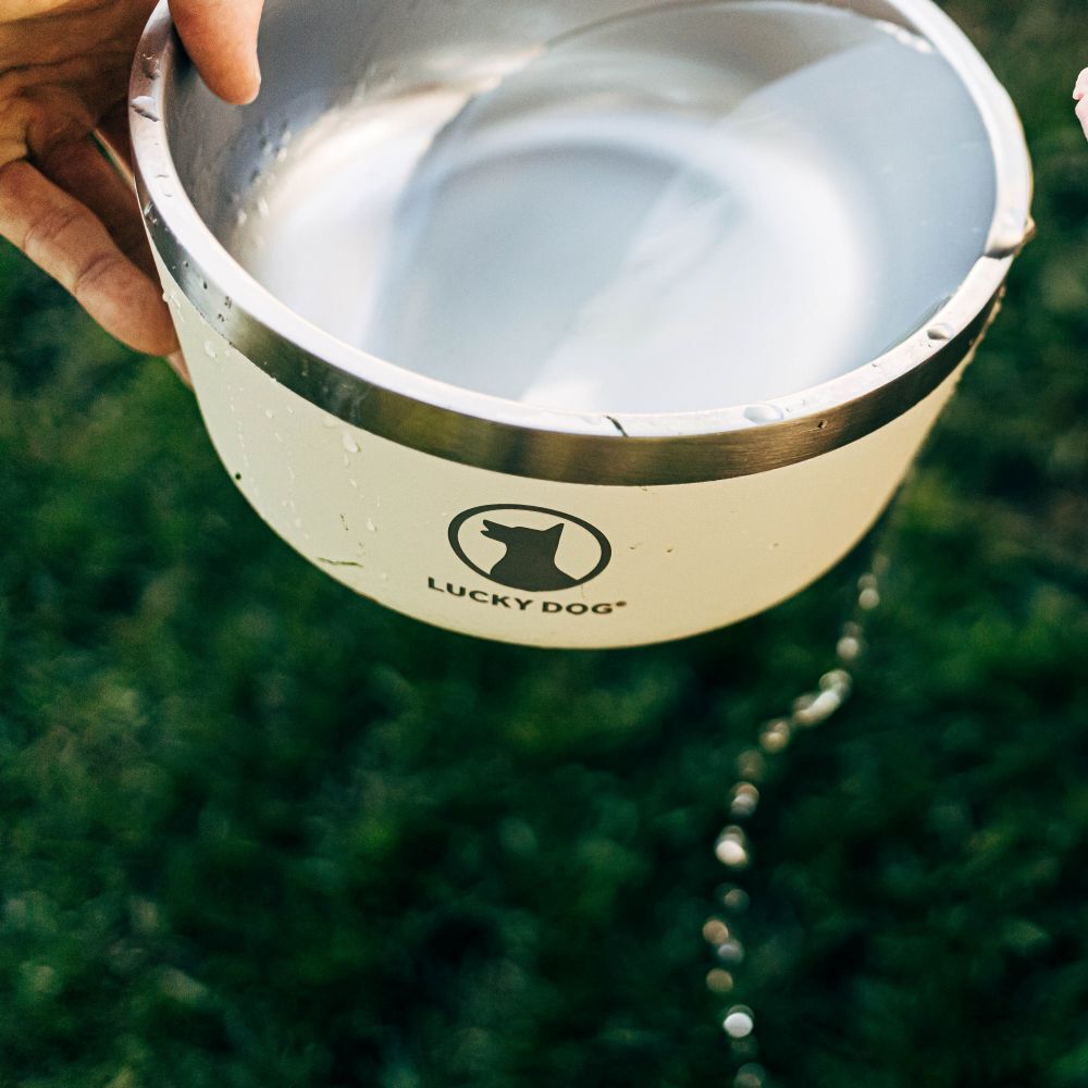 Lucky Dog INDULGE 8 Double Wall Stainless Steel Tahitian Sand Dog Bowl, 64-Oz