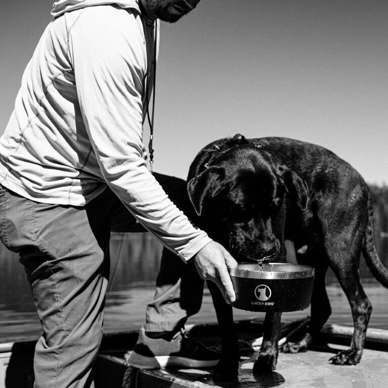 Lucky Dog Indulge XL Stainless Steel Arcadia Black Dog Bowl, 100-Oz