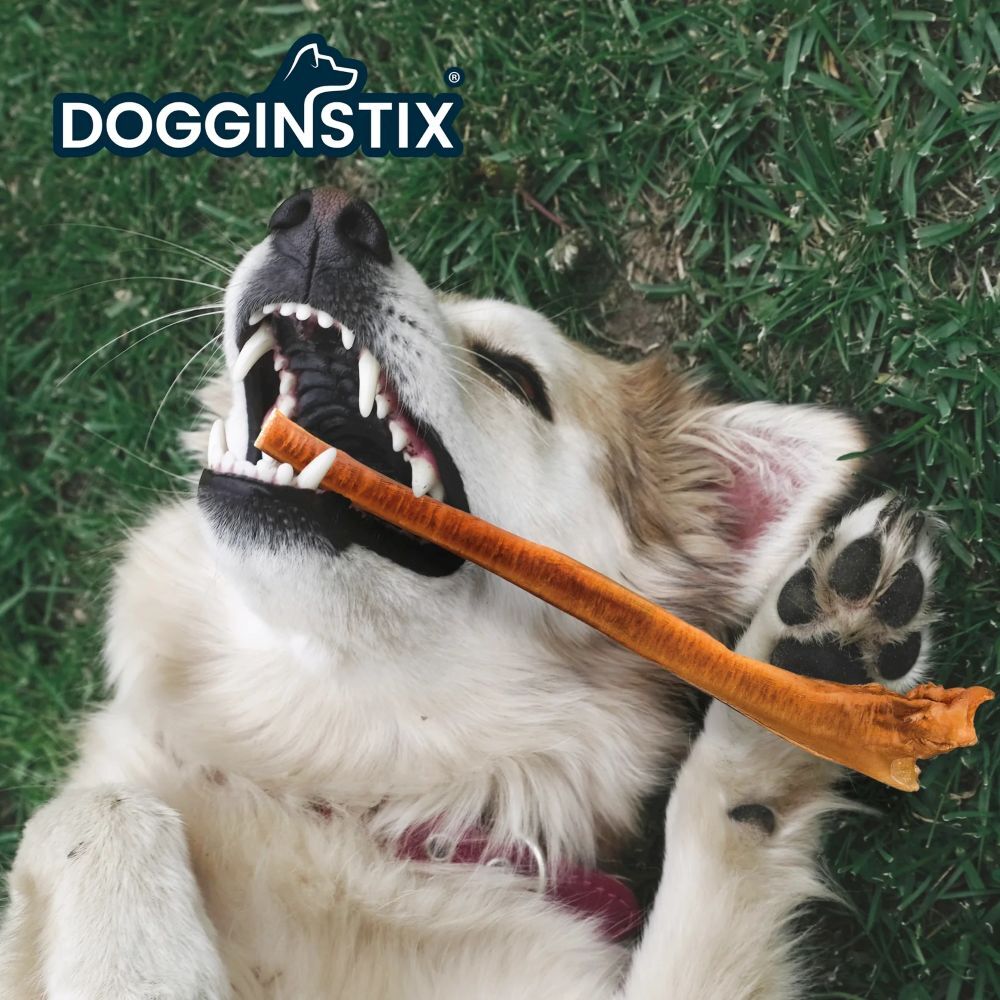 Dogginstix Bully Sticks Jumbo , 12-In