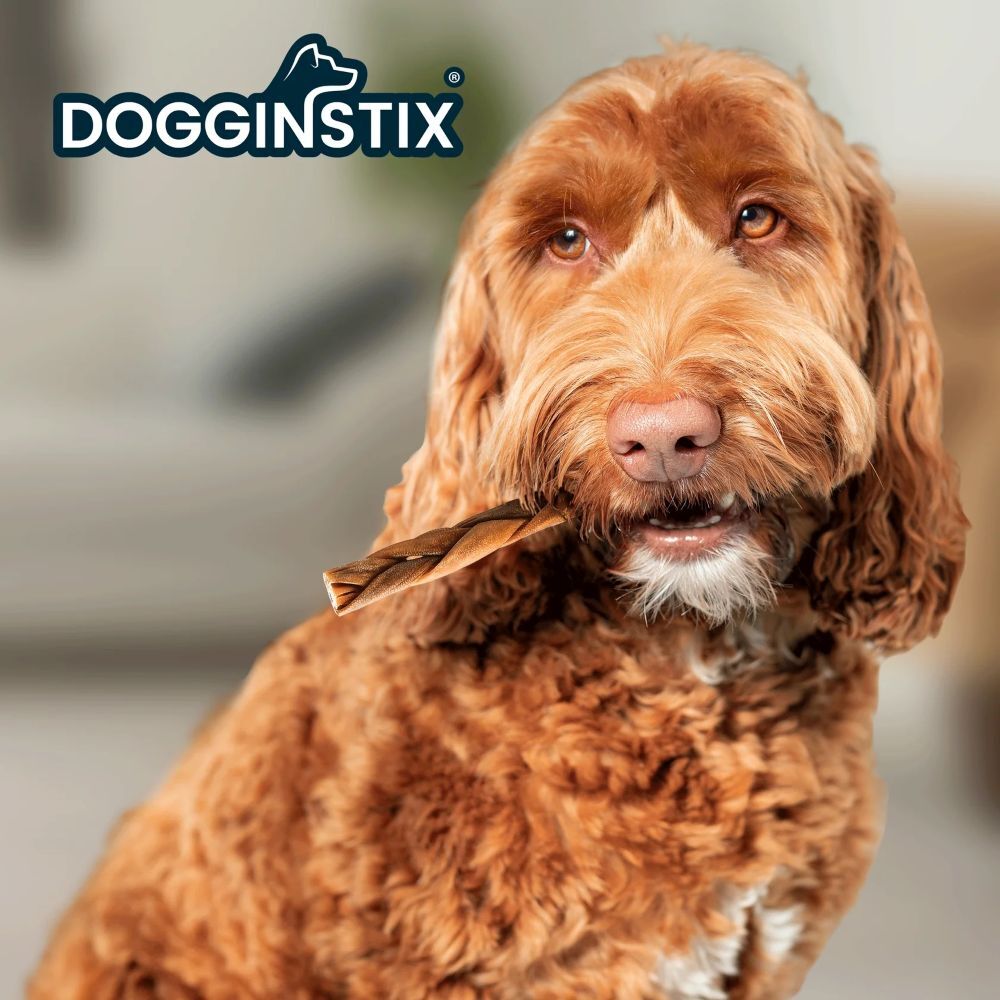 Dogginstix Braided Lamb Collagen, 6-In