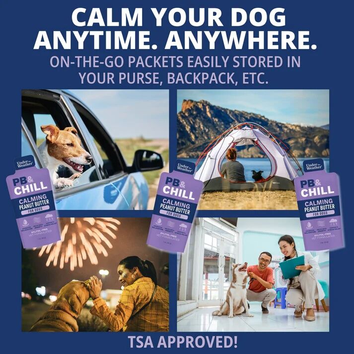 Under The Weather PB & Chill Calming Peanut Butter For Dogs, 6-Pk