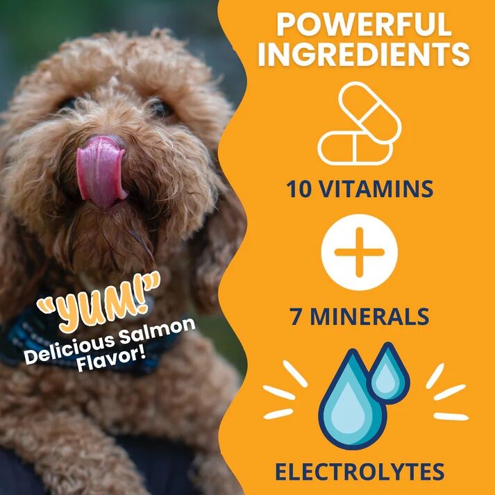 Under The Weather Ready Cal PLUS Electrolytes For Dogs, 3.5-Oz