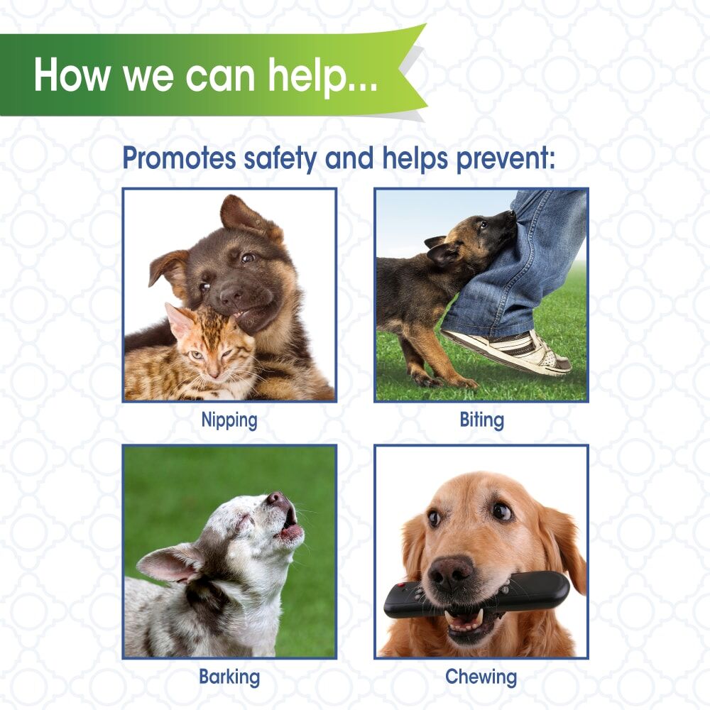 Four Paws Walk-About Quick Fit Muzzle Size 4, Large