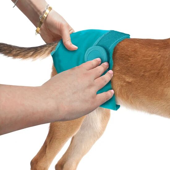 Simple Solution XL Washable Female Dog Diaper