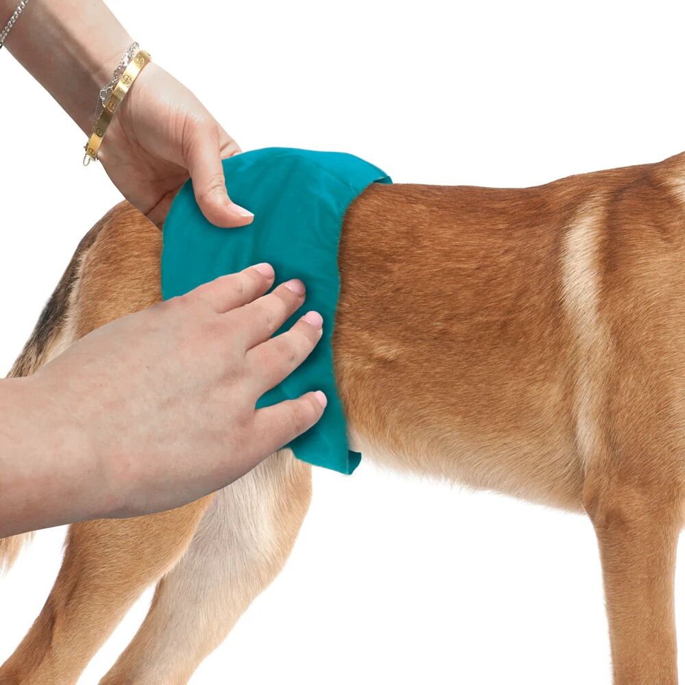 Simple Solution Washable Male Dog Wrap Medium