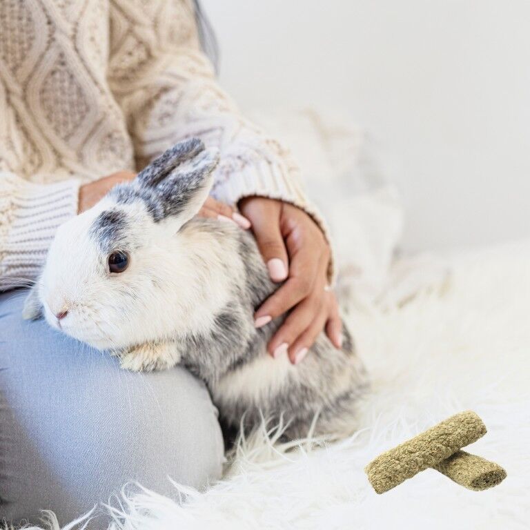 Vitakraft Slims With Alfalfa Small Animal Treat, 1.75-Oz