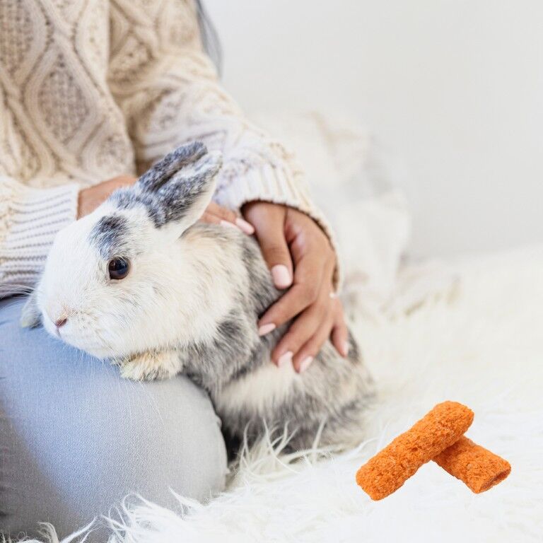 Vitakraft Slims With Carrot Small Animal Treat, 1.75-Oz