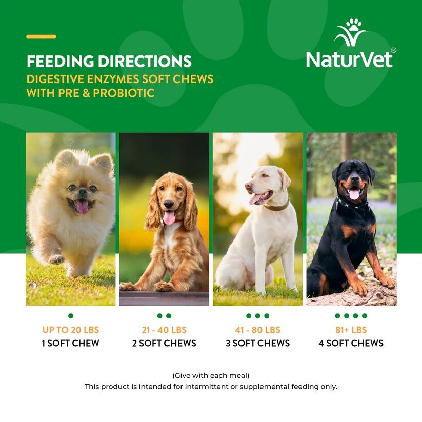 NaturVet Digestive Enzymes Soft Chews With Prebiotics & Probiotics, 70-Ct