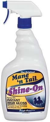 Straight Arrow Shine On With Sprayer - 32 oz