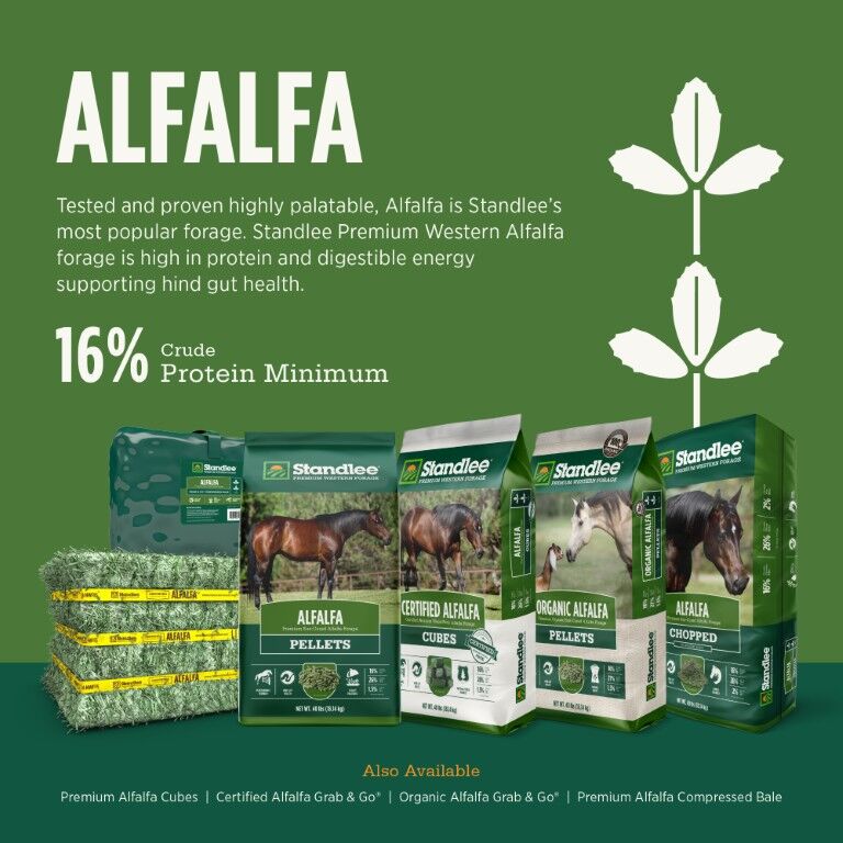 Standlee Premium Western Forage Alfalfa Compressed Hay Bale, 50-Lb