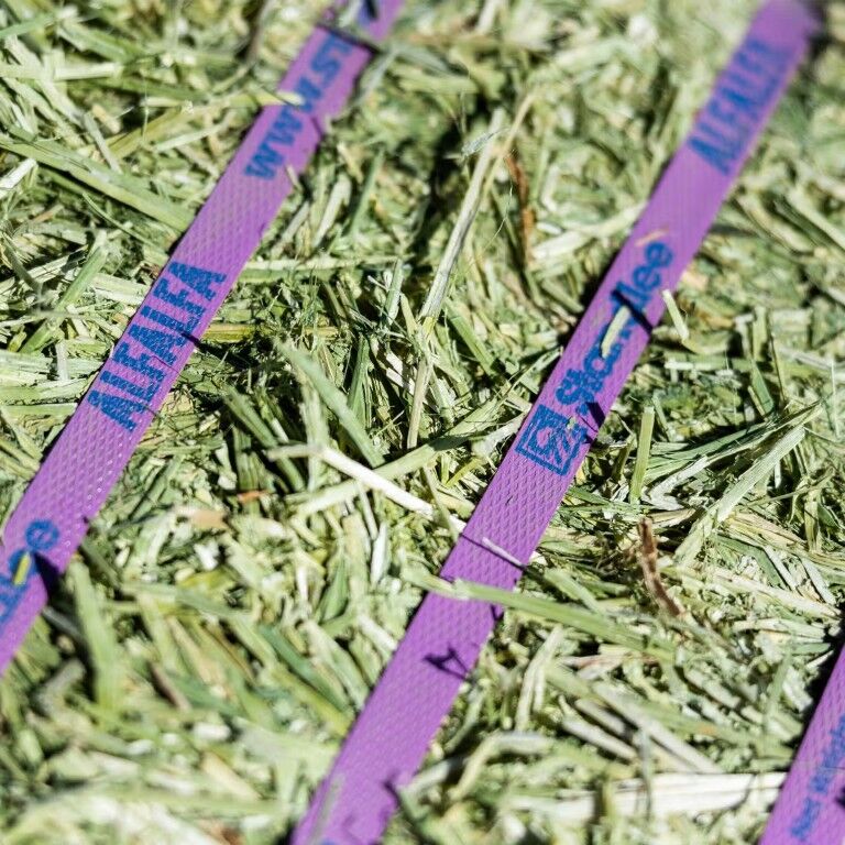 Standlee Premium Western Forage Alfalfa Compressed Hay Bale, 50-Lb