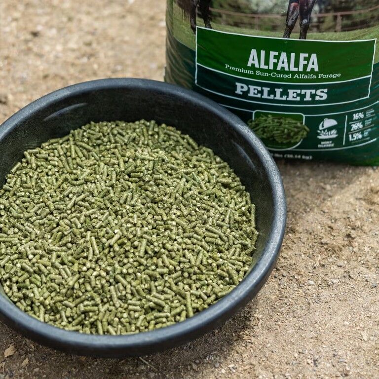 Standlee Premium Western Forage Alfalfa Hay Pellets, 40-Lb