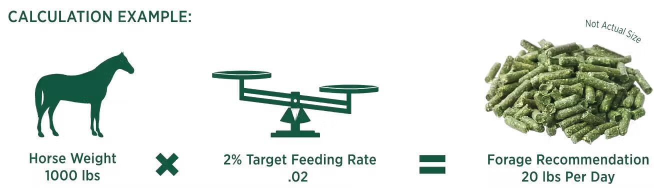 Standlee Premium Western Forage Alfalfa Hay Pellets, 40-Lb
