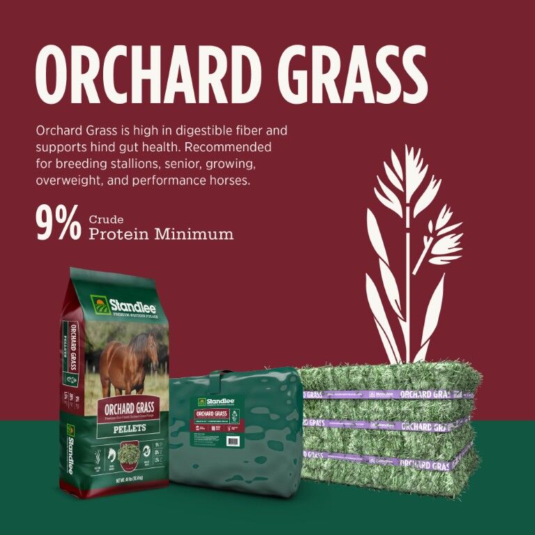 Standlee Premium Western Forage Orchard Grass Hay Pellets, 40-Lb
