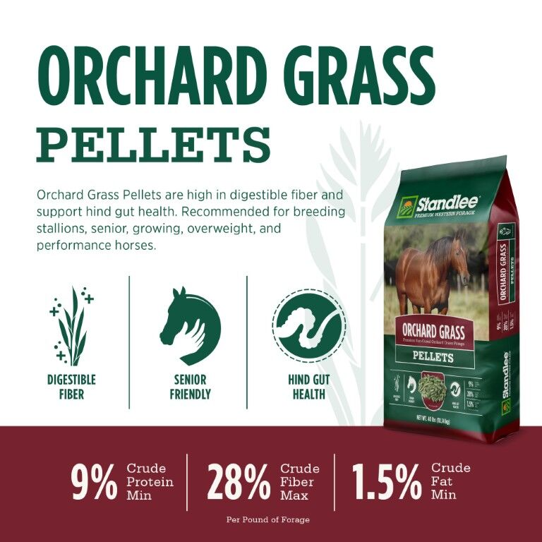 Standlee Premium Western Forage Orchard Grass Hay Pellets, 40-Lb