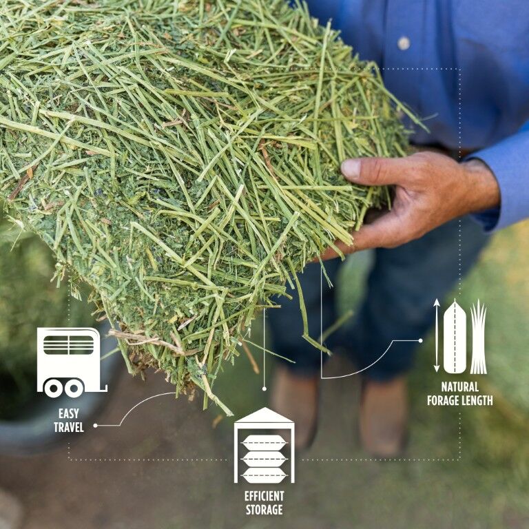 Standlee Premium Western Forage Alfalfa Orchard Grass Grab & Go Compressed Hay Bale, 50-Lb