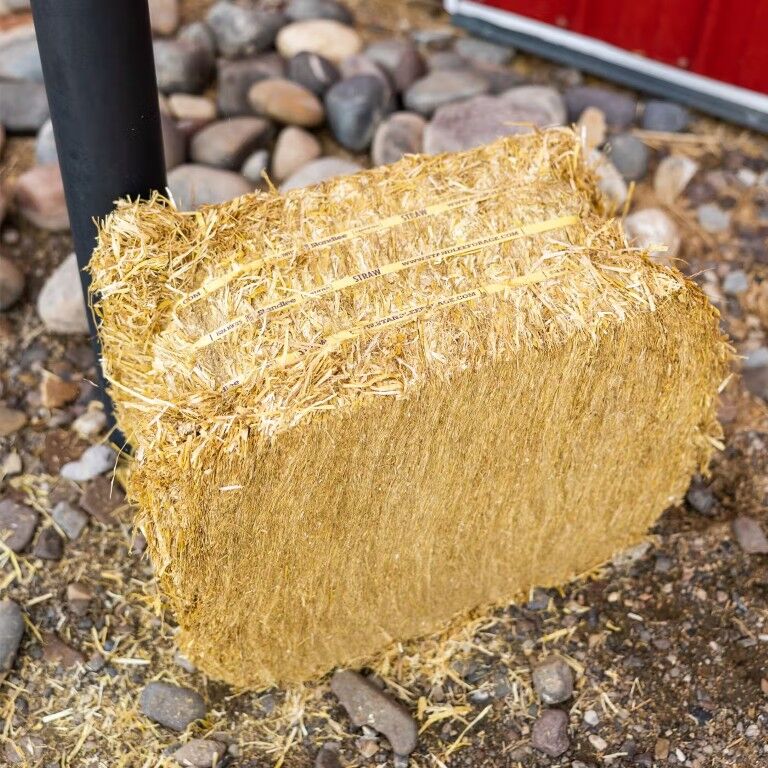 Standlee Premium Products Certified Straw Compressed Bale Animal Bedding, 3.6-Cu Ft