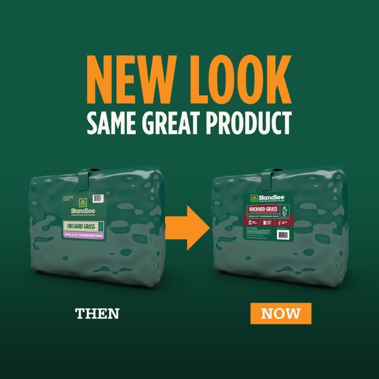 Standlee Premium Western Forage Orchard Grass Grab & Go Compressed Hay Bale 50 lb.