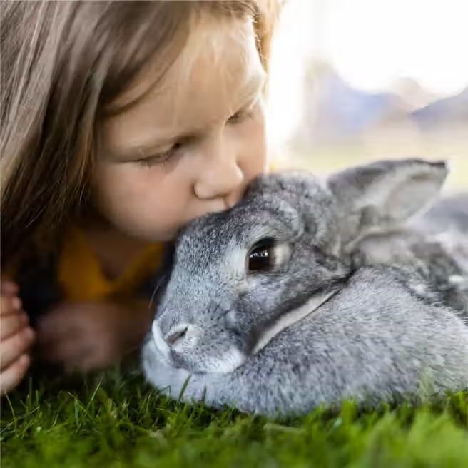 Standlee PremiYum Western Timothy Small Animal Hay, 18-Oz