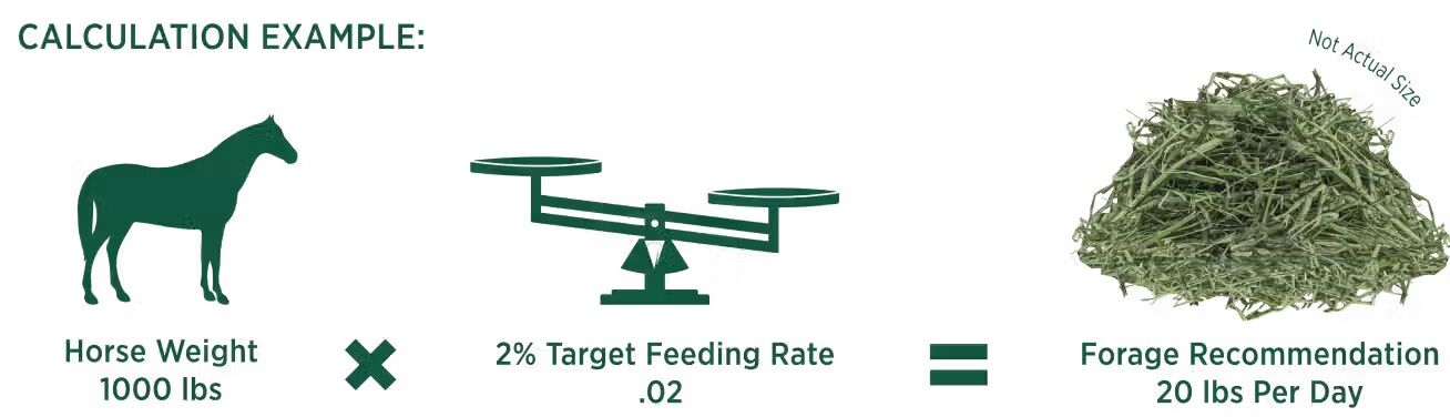 Standlee Premium Western Forage Alfalfa Chopped Hay, 35-Lb