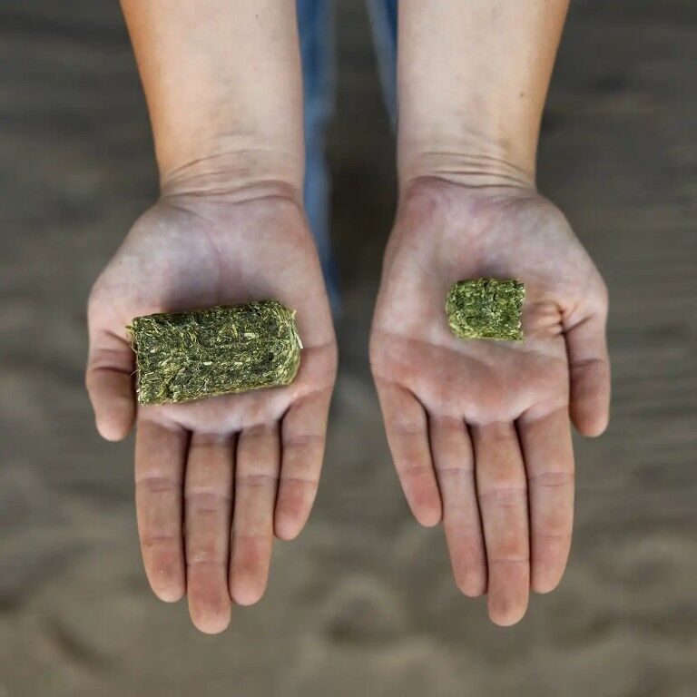 Standlee Premium Western Forage Timothy Grass Hay Mini Cubes, 40-Lb