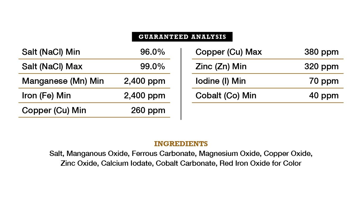 American Stockman Big 6 Mineral Salt Block, 50-Lb