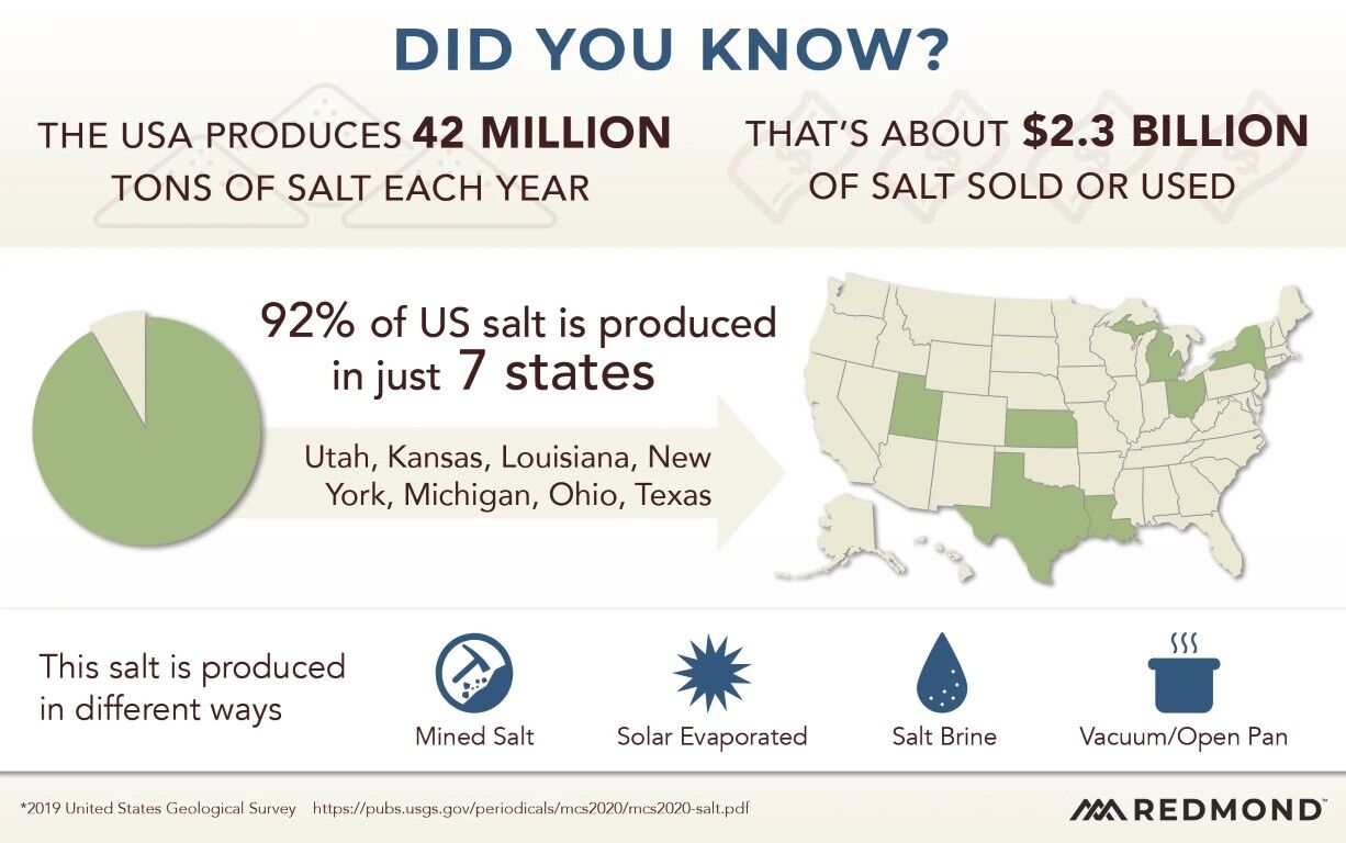 Redmond 10 Fine Natural Premium Mineral Salt Block, 44-Lb