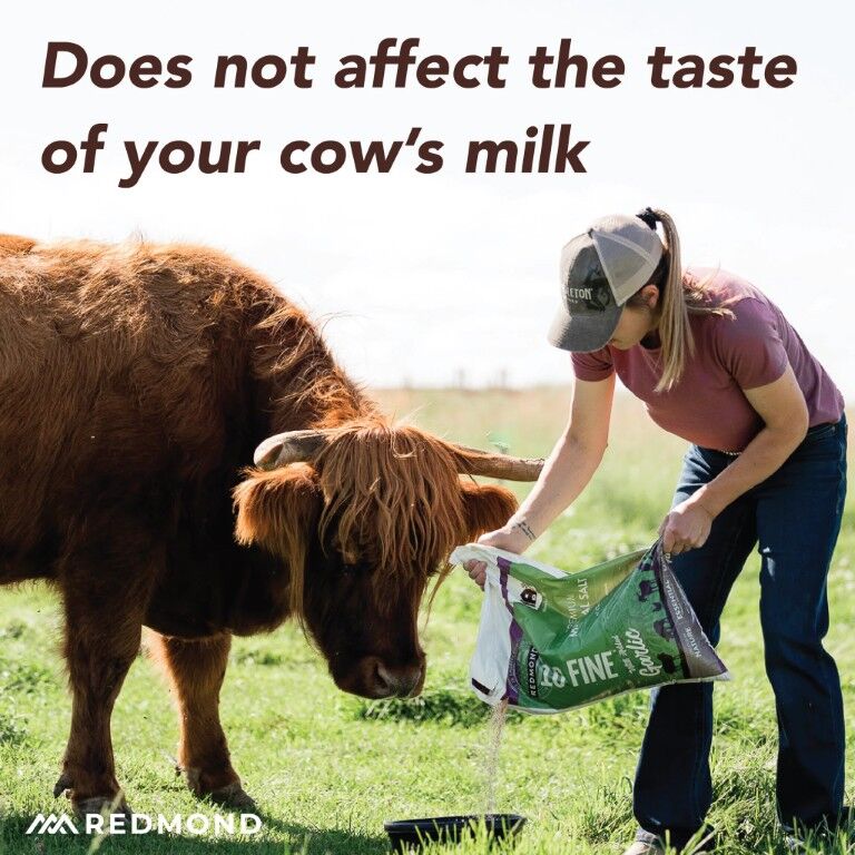 Redmond 10 Fine Natural Premium Mineral Salt Block With Garlic, 44-Lb