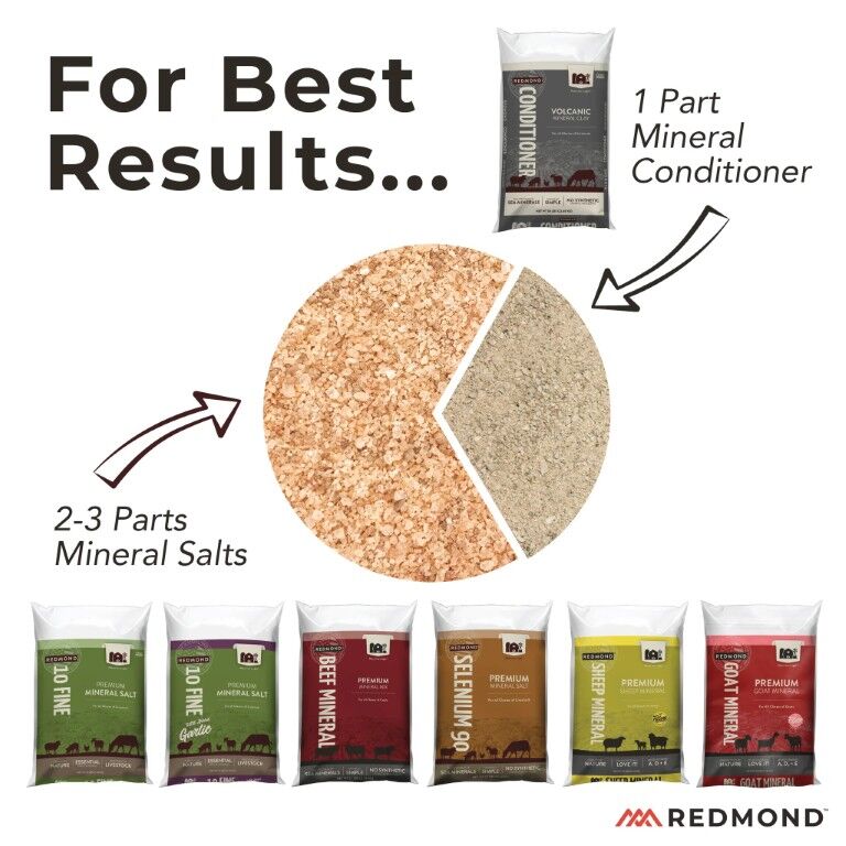 Redmond 10 Fine Natural Premium Mineral Salt Block With Garlic, 44-Lb