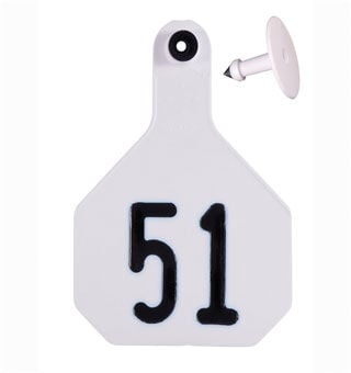 Y-Tex White All-American 3* Medium 2-Pc Ear Tags, #51-75