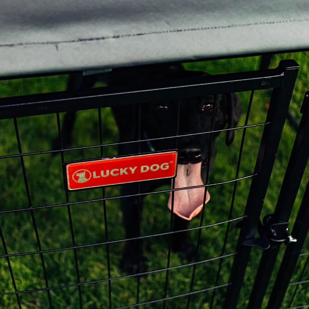 Lucky Dog Stay Series Steel Grey Studio Jr. Kennel, 4 ft. x 4 ft. x 4.3 ft.