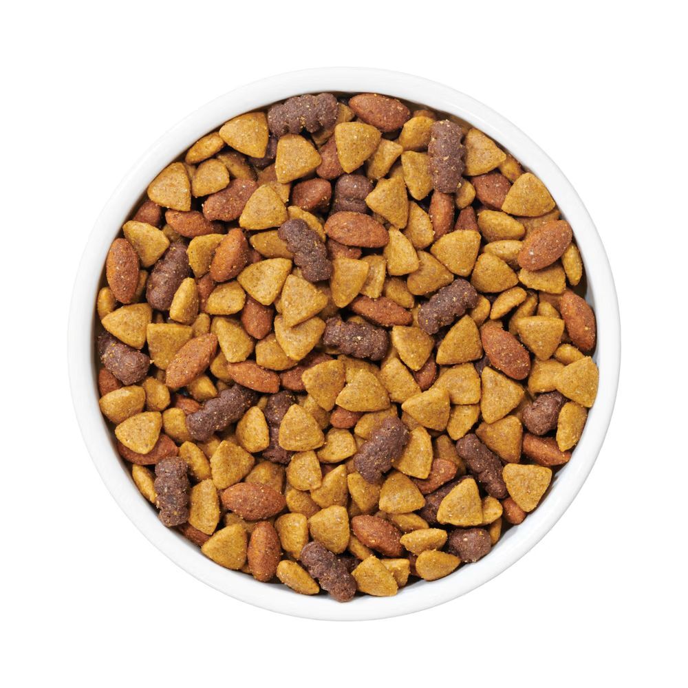 Purina Dog Chow Complete Adult Lamb Flavor Dry Dog Food, 44-Lb