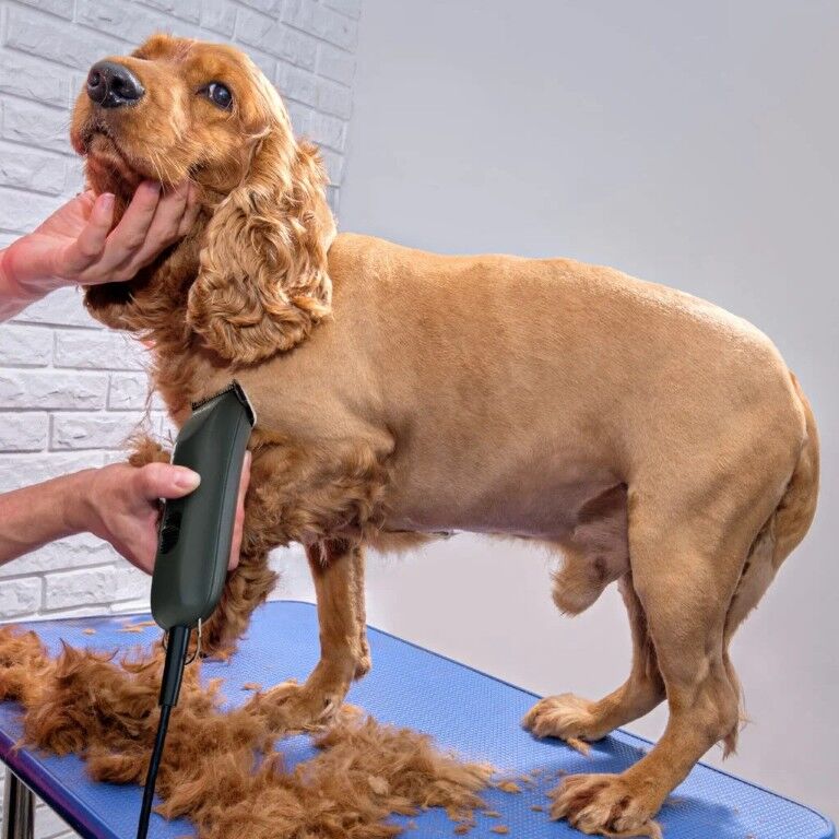 Wahl Max 60 Pet Clipper