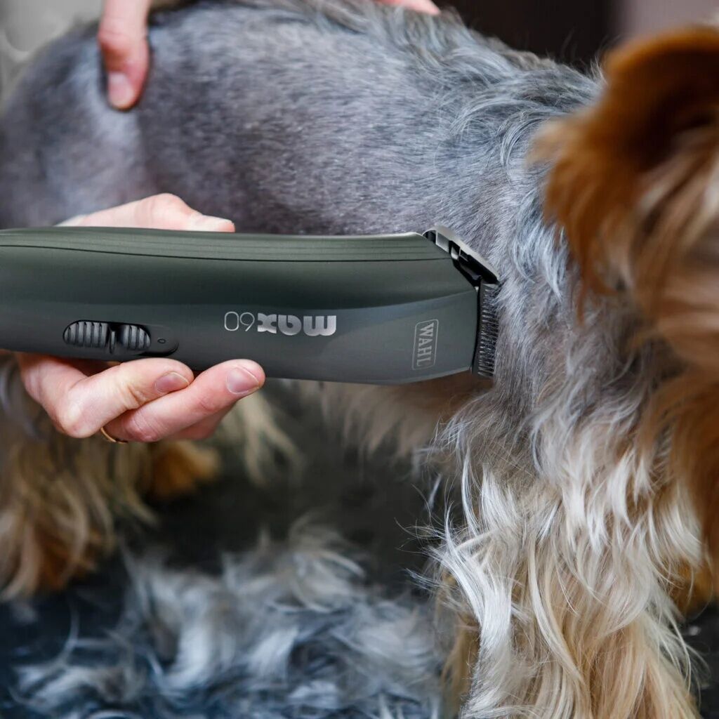 Wahl Max 60 Pet Clipper